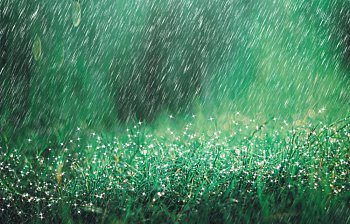 heavy rain