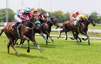 horse race