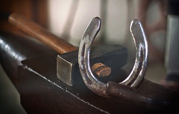 horseshoe