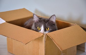 in