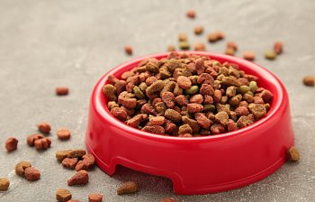 kibble
