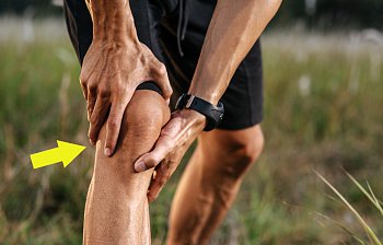 knee