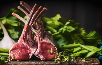 lamb