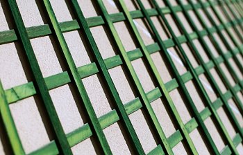 lattice
