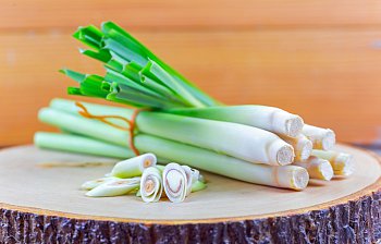 lemon grass
