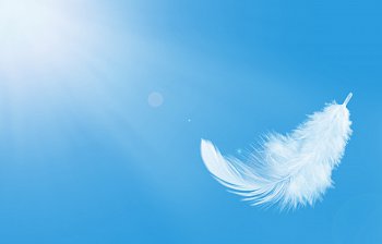 feather