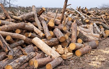 log