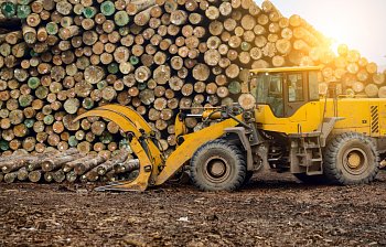 log
