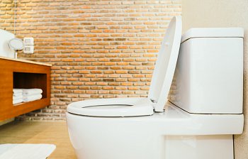 loo