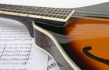 mandolin