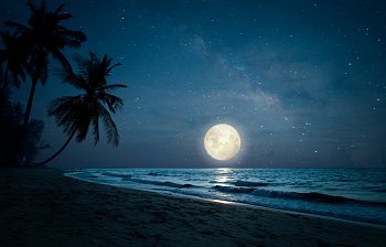 moonlight