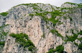 mountainside