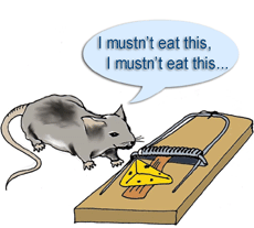 mousetrap mousetrap