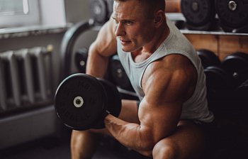 muscular