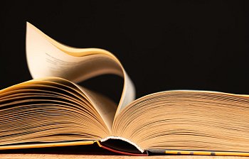 novel