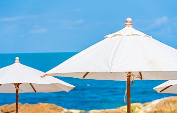parasol