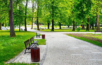 park