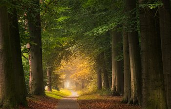 path