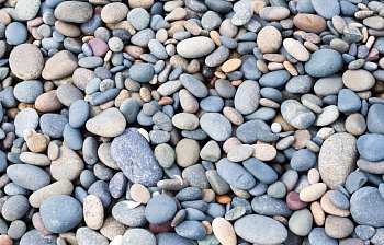 pebble