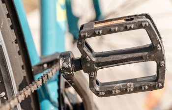 pedal
