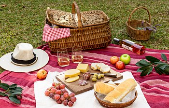 picnic