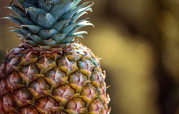 pineapple