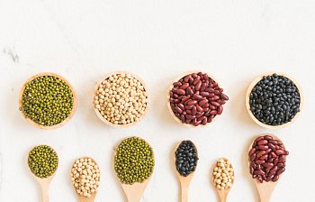 pulses