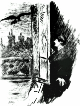 raven
