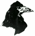 raven