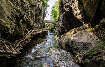 ravine