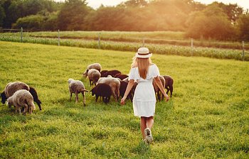 round up