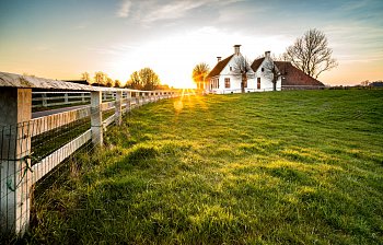 rural
