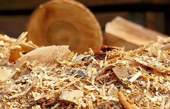 sawdust