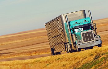 semi
