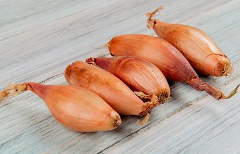 shallot