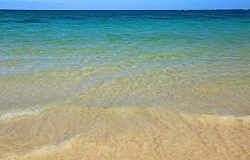 shallows