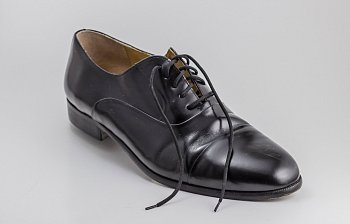 shoe