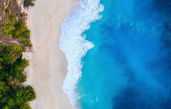 shore