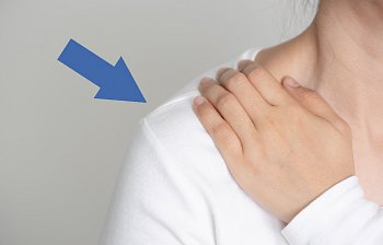 shoulder