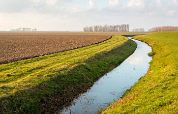 ditch