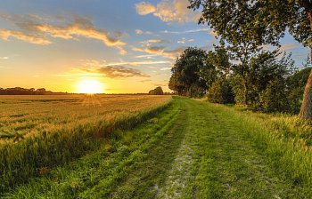 countryside
