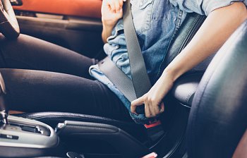 seatbelt