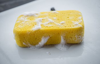 sponge