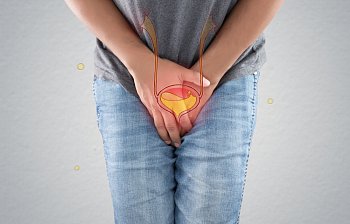 bladder