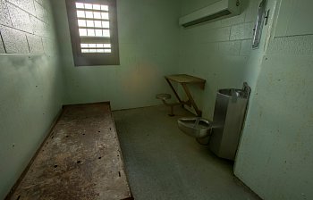 cell