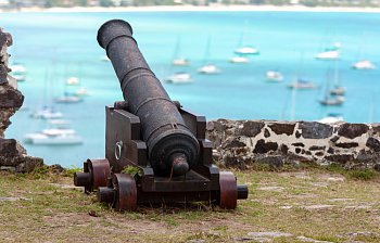 cannon