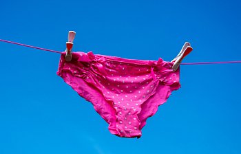 knickers