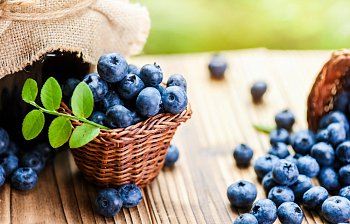 blueberry