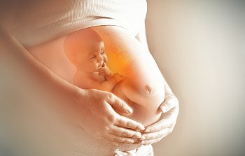 womb