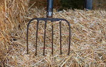 pitchfork